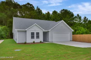 111 William Gurganus Rd, Maple Hill, NC 28454 - Photo 3
