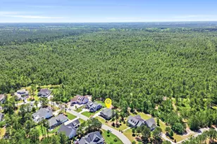 3710 Friendly Orange Ct NE, Leland, NC 28451 - Photo 87
