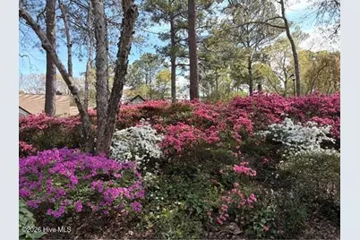 2111 Jumpin Run Drive, Wilmington, NC 28403 - Photo 3