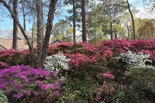 2111 Jumpin Run Dr, Wilmington, NC 28403 - Photo 3