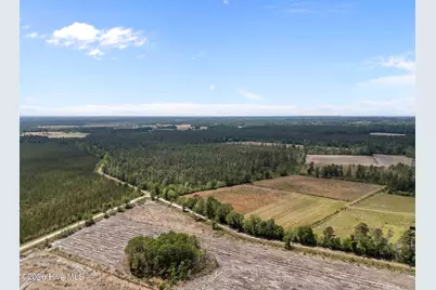 7529 Sidney-Cherry Grove Road, Tabor City, NC 28463 - Photo 7