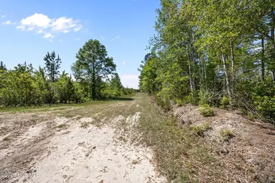 7529 Sidney-Cherry Grove Road, Tabor City, NC 28463 - Photo 13