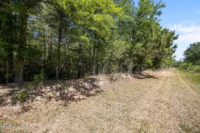 7529 Sidney-Cherry Grove Road, Tabor City, NC 28463 - Photo 15