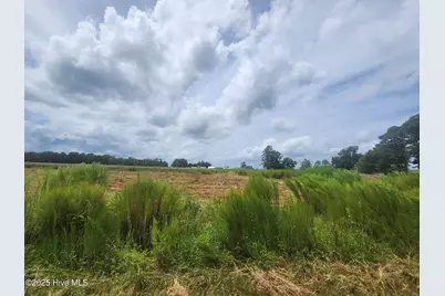 901 Murphy Farm Road, Merritt, NC 28556 - Photo 15