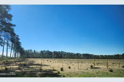 901 Murphy Farm Road, Merritt, NC 28556 - Photo 3