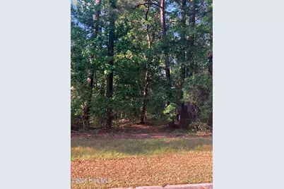 134 Legacy Woods Drive, Wallace, NC 28466 - Photo 1