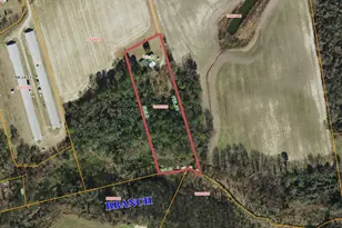 4007 S Hwy 13 S, Snow Hill, NC 28580 - Photo 39