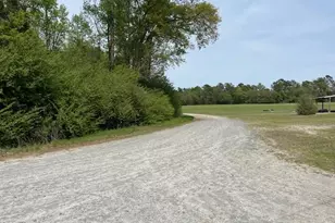 408 Guy Sanderson Rd, Albertson, NC 28508 - Photo 21