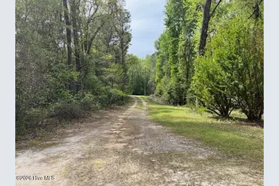 408 Guy Sanderson Road, Albertson, NC 28508 - Photo 15