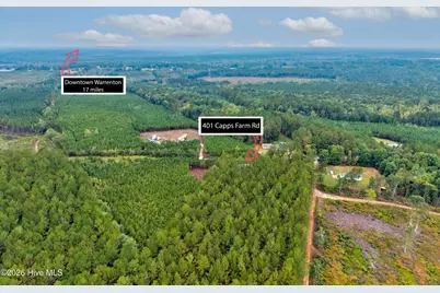 401 Capps Farm Road, Hollister, NC 27844 - Photo 3