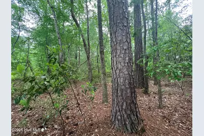 4599 Nc-30, Stokes, NC 27884 - Photo 11