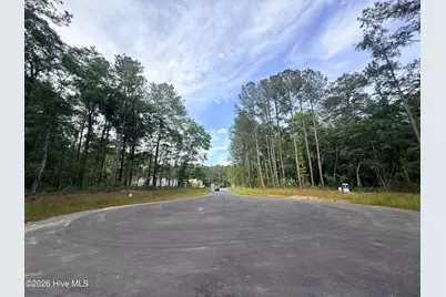 Lot 6 Peach Court, Burgaw, NC 28425 - Photo 7