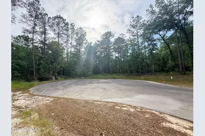 Lot 6 Peach Court, Burgaw, NC 28425 - Photo 5