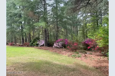 1801 McDonald Avenue, Hamlet, NC 28345 - Photo 47