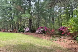 1801 McDonald Ave, Hamlet, NC 28345 - Photo 47