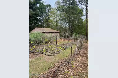 1801 McDonald Avenue, Hamlet, NC 28345 - Photo 49