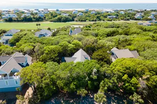 31 Horsemint Trail, Bald Head Island, NC 28461 - Photo 49