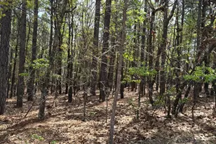 4 Brassie Ln, Foxfire, NC 27281 - Photo 1