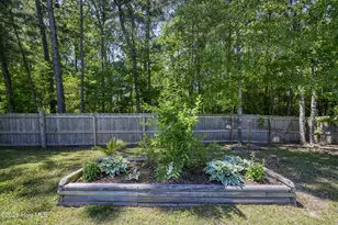 40 Thatcher Dr, Rocky Point, NC 28457 - Photo 47
