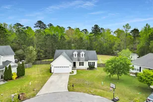 512 Pebble Spruce Ct, Jacksonville, NC 28546 - Photo 29