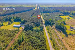 11073 Sam Potts Hwy, Lake Waccamaw, NC 28450 - Photo 33