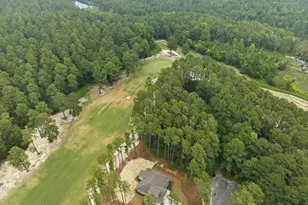 16651 Rabbit Run Ct, Wagram, NC 28396 - Photo 3