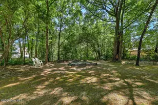 120 Middle Point Rd, Hampstead, NC 28443 - Photo 45