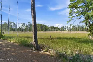 406 Longmeadow Dr, Wilmington, NC 28412 - Photo 55