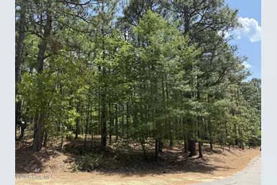 107 Otter Drive, West End, NC 27376 - Photo 1