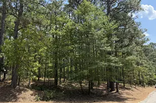 107 Otter Dr, West End, NC 27376 - Photo 1