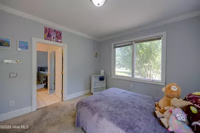 3286 J C Galloway Road, Grimesland, NC 27837 - Photo 25