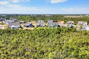 3226 Oceanic Bay Dr, Southport, NC 28461 - Photo 59