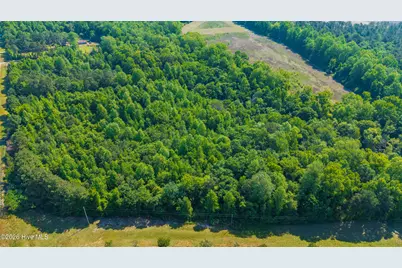1300 Nc-11, Magnolia, NC 28453 - Photo 21