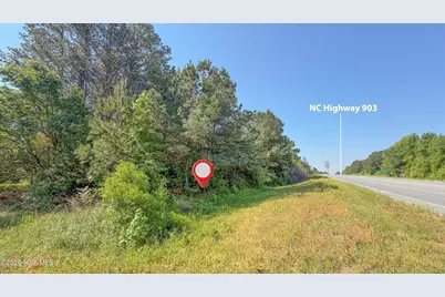1300 Nc-11, Magnolia, NC 28453 - Photo 11