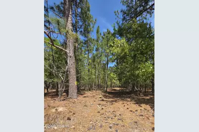 188 Shagbark Road, Seven Lakes, NC 27376 - Photo 49
