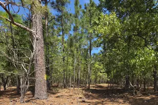188 Shagbark Rd, Seven Lakes, NC 27376 - Photo 49