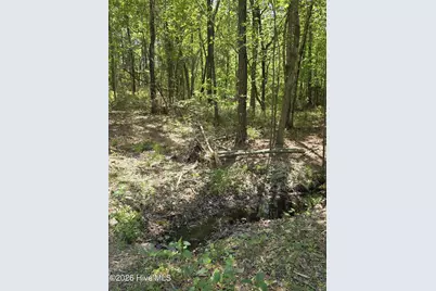 188 Shagbark Road, Seven Lakes, NC 27376 - Photo 47
