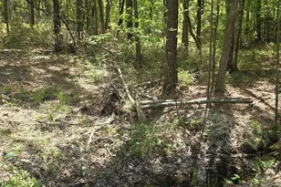 188 Shagbark Rd, Seven Lakes, NC 27376 - Photo 47