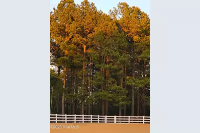 188 Shagbark Road, Seven Lakes, NC 27376 - Photo 25