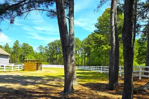 188 Shagbark Rd, Seven Lakes, NC 27376 - Photo 9