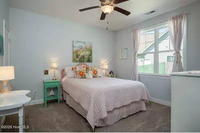302 Big Pine Court, Swansboro, NC 28539 - Photo 29