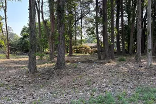 Lot #1 US 264 #1 W E Midyette S/D, Washington, NC 27889 - Photo 1