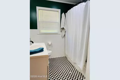 229 Mill Pond Road, Whiteville, NC 28472 - Photo 39