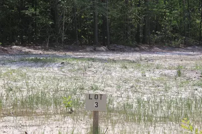 128 Southerland Road, Magnolia, NC 28453 - Photo 1