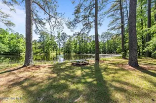 171 Dobbins Ln, Rockingham, NC 28379 - Photo 11