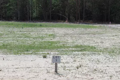 940 Blind Bridge Road, Magnolia, NC 28453 - Photo 1