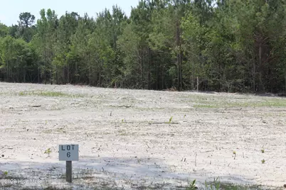 958 Blind Bridge Road, Magnolia, NC 28453 - Photo 1