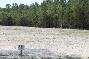 958 Blind Bridge Rd, Magnolia, NC 28453 - Photo 1