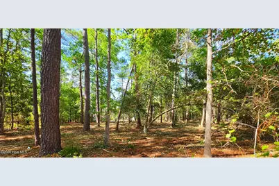L-2 S-N Palmer Drive, Shallotte, NC 28470 - Photo 11