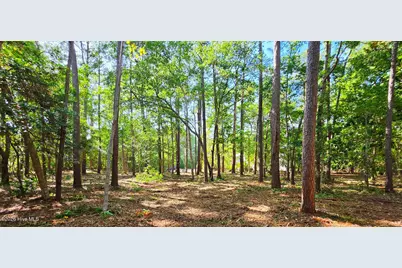 L-1 S-N Palmer Drive, Shallotte, NC 28470 - Photo 9